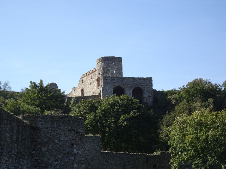 Goat Castle