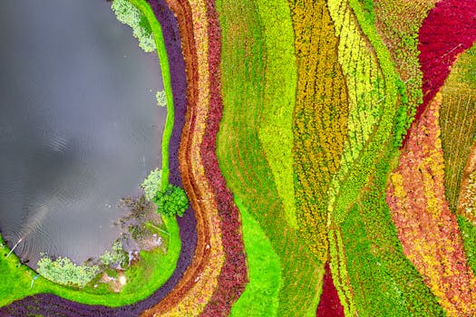 从空中俯瞰，印度尼西亚西爪哇岛湖泊周围充满活力、色彩缤纷的田野令人惊叹