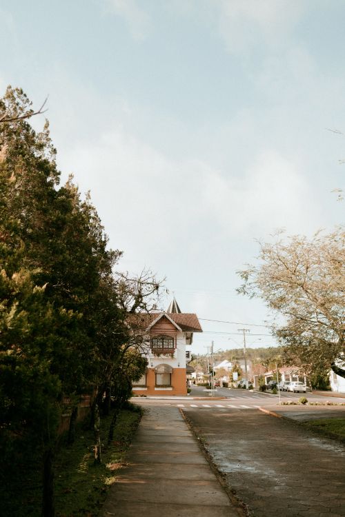 Free Quaint street scene featuring a tree-lined path and charming houses under a clear sky. Stock Photo
