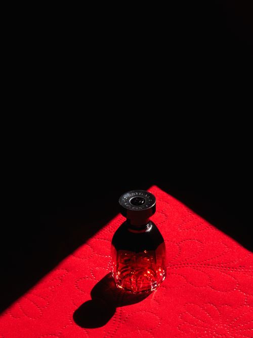 Free A stylish perfume bottle highlighted on a luxurious red quilted textile. Dramatic lighting. Stock Photo