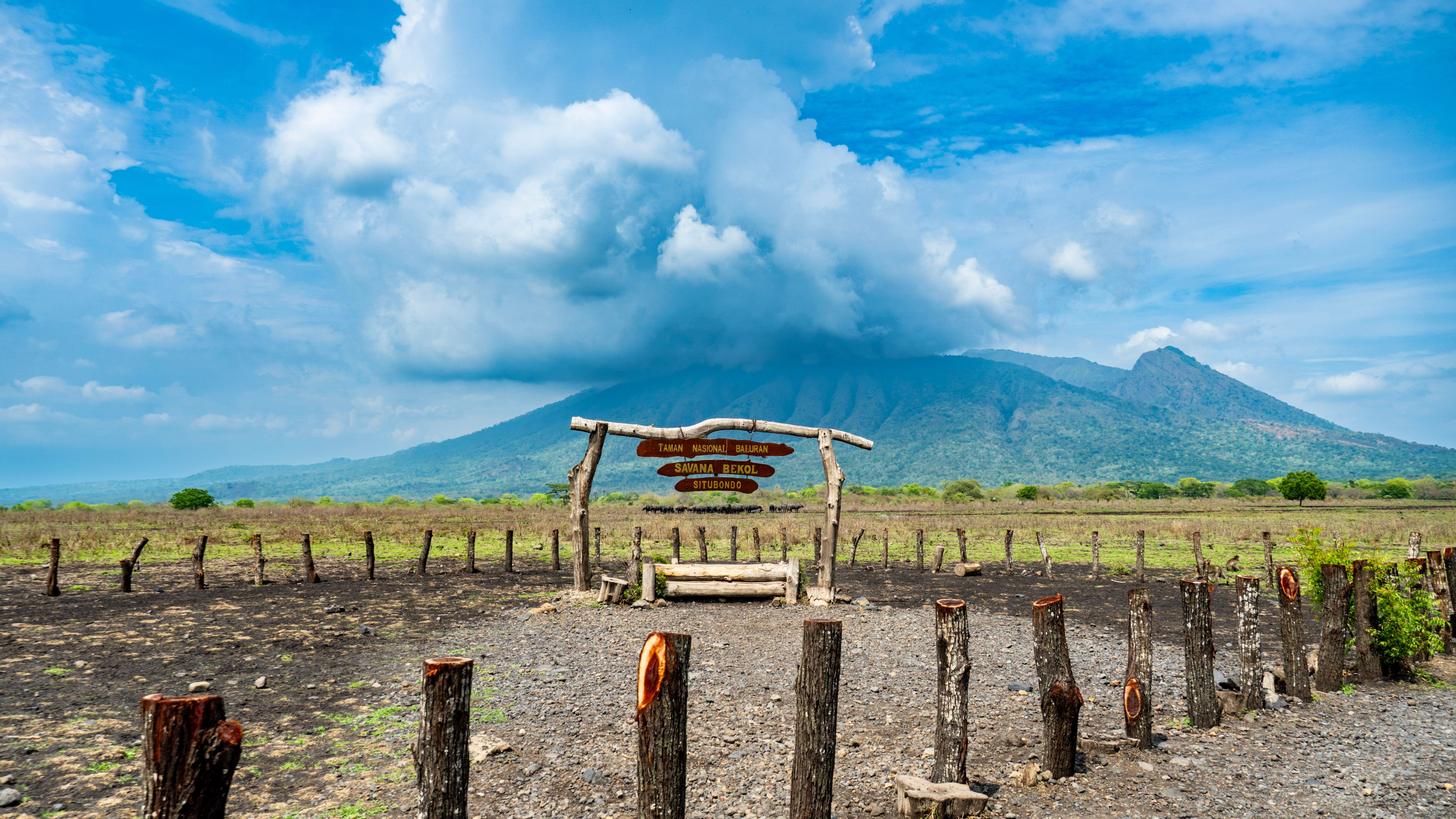 Taman Nasional Baluran