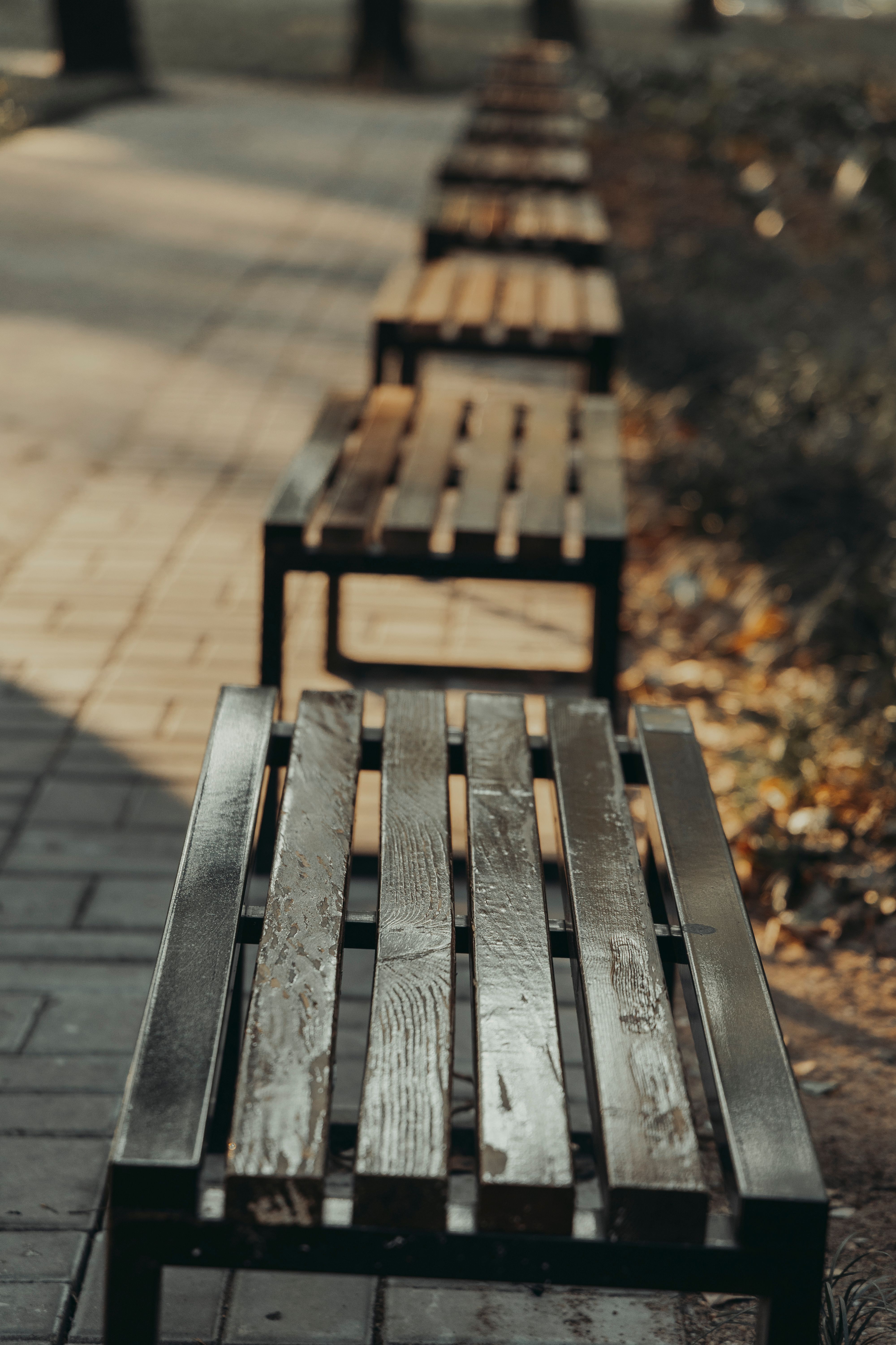 Fotomural Una fila de bancos de madera a lo largo de un camino sombreado en el parque en un día soleado.