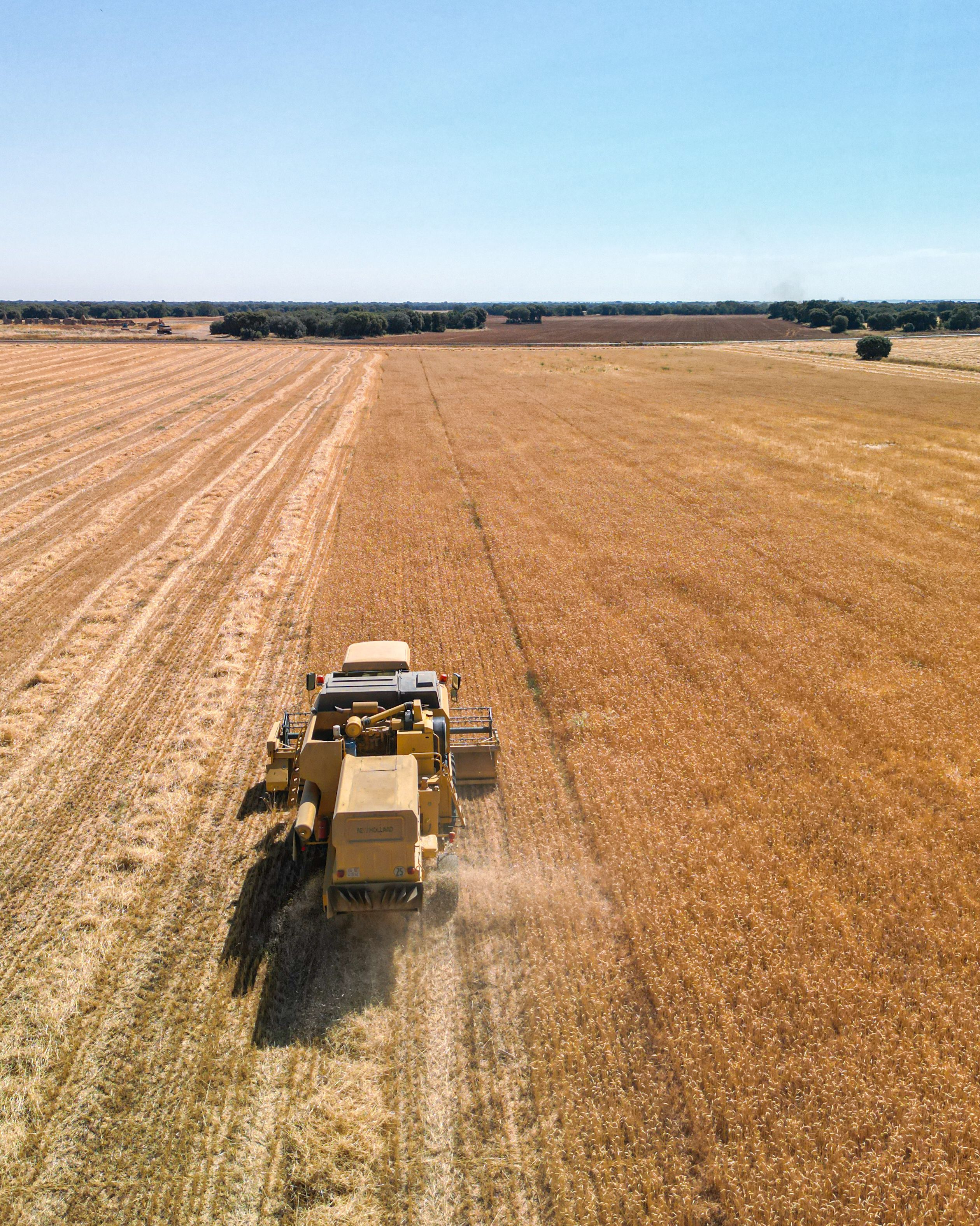 Le secteur agroalimentaire de l'UE consolide sa position mondiale au premier semestre 2026
