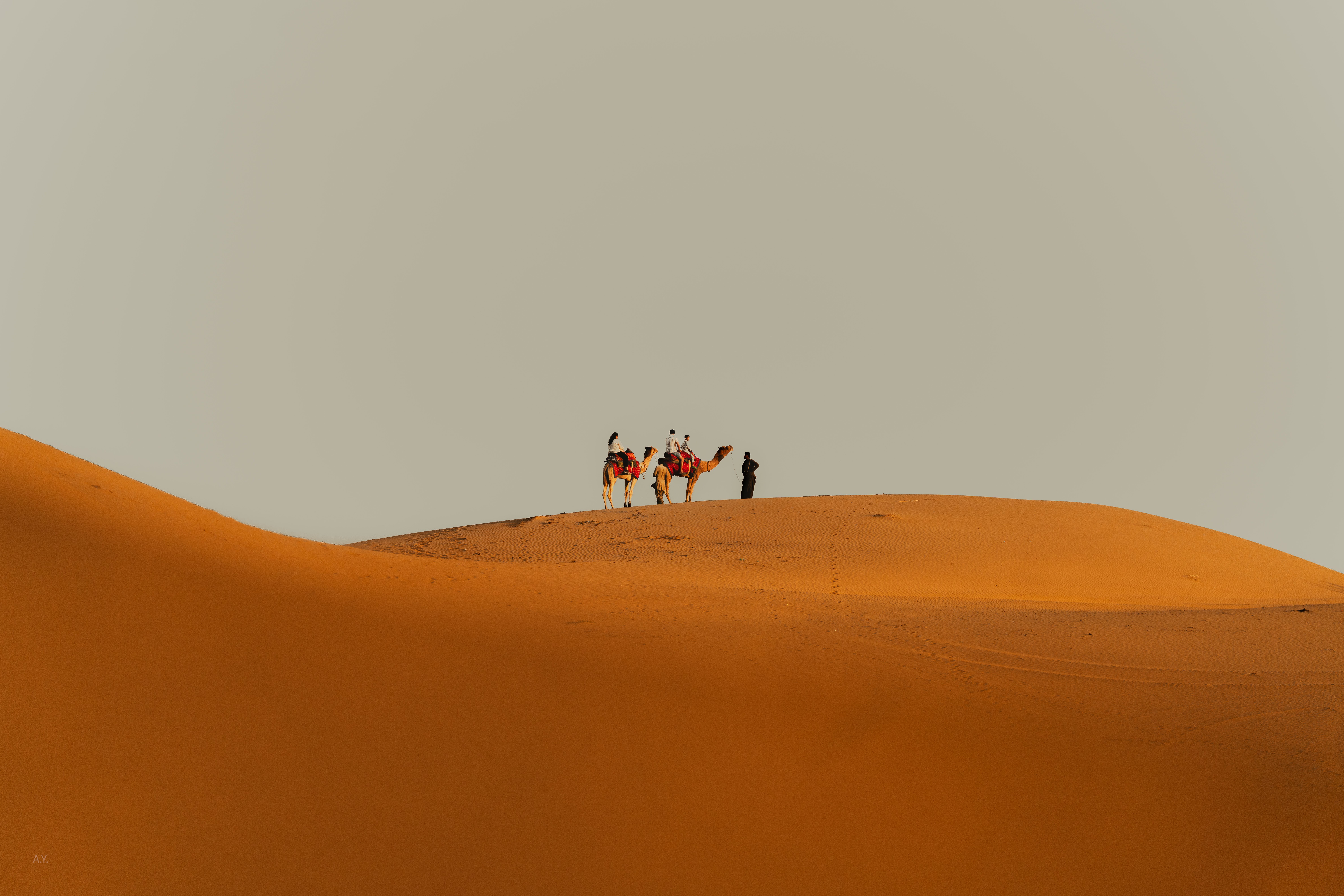 A group of travelers with camels crossing the golden dunes of a vast desert under a clear sky.