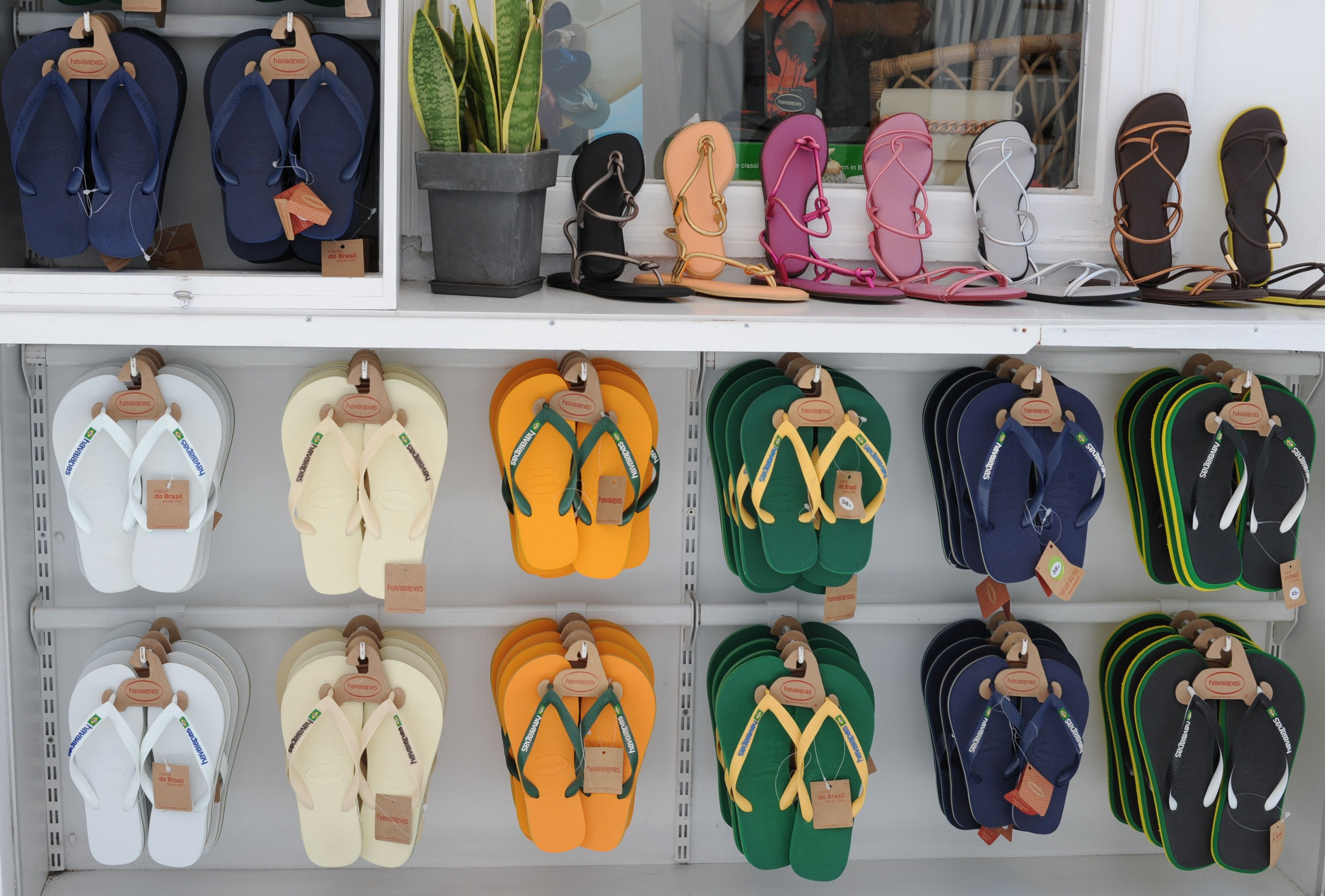 Una fila de sandalias y chanclas de verano en un estante