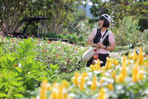 Free Smiling woman in a colorful garden on a sunny day, enjoying nature's beauty. Stock Photo