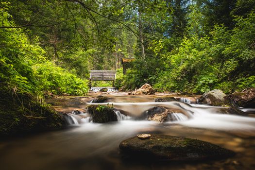 A serene forest stream flowing under a wooden bridge surrounded by lush greenery.