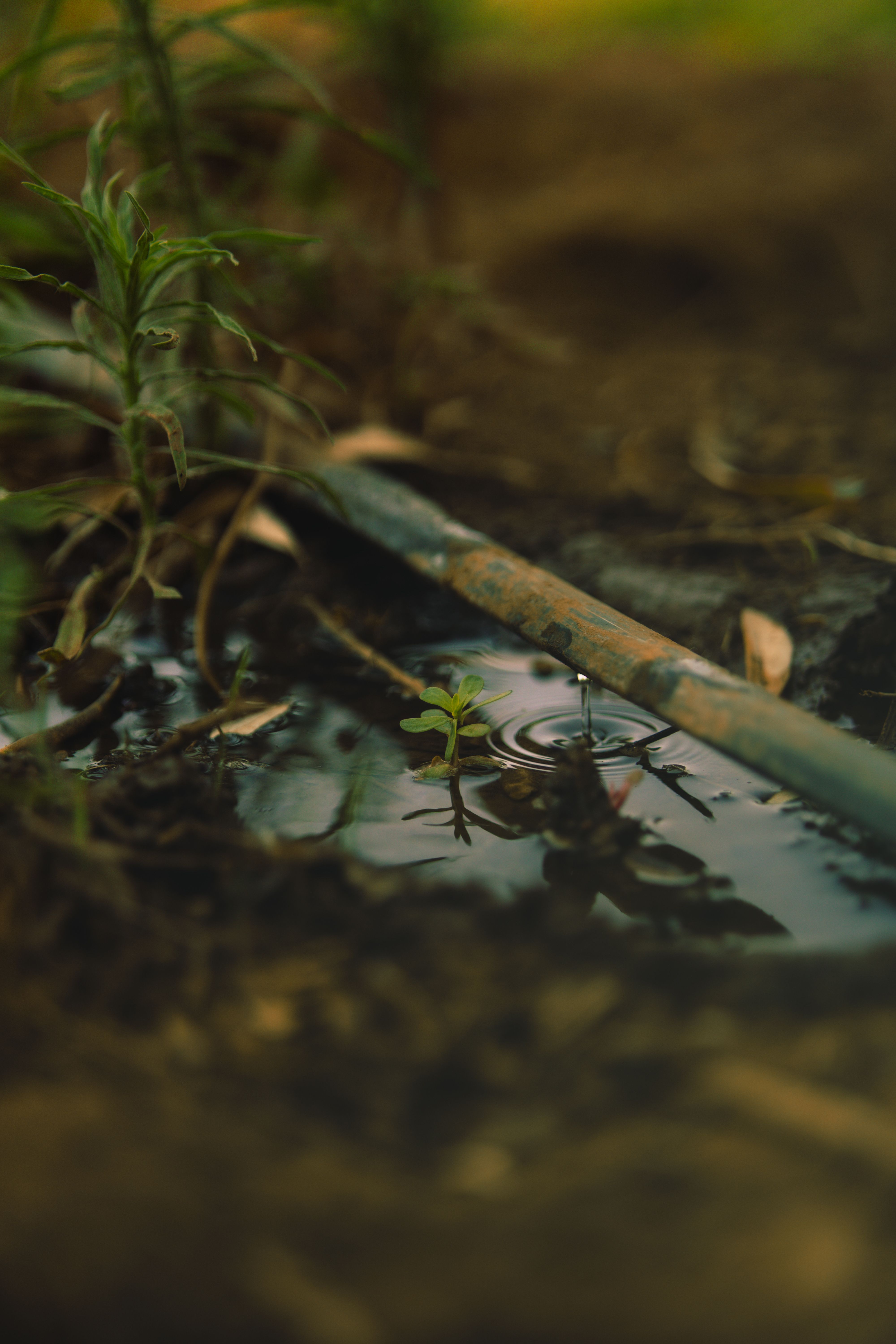 Irrigation System Repair