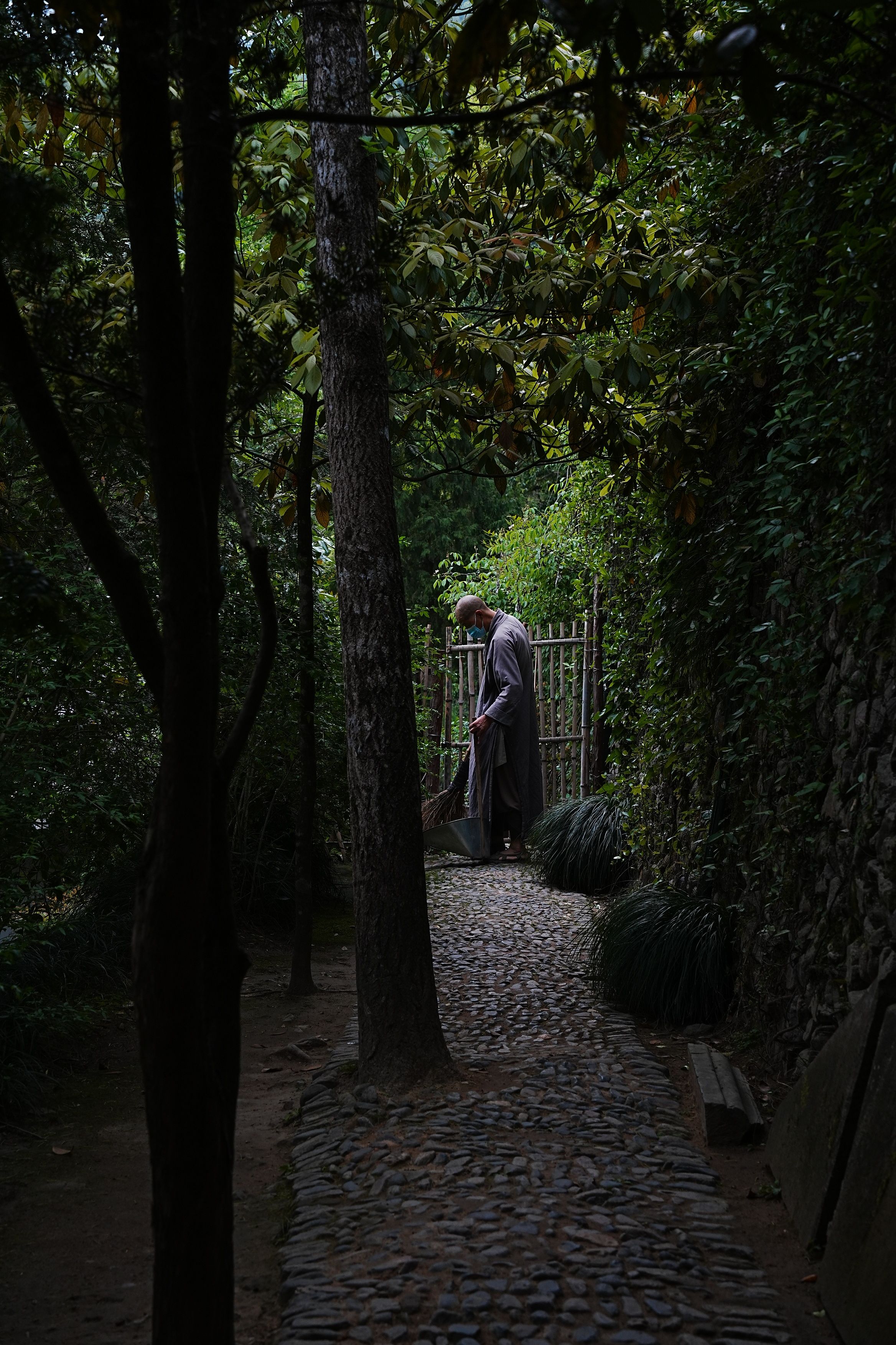 A person in traditional attire walks through a serene forest path in Zhejiang, China.