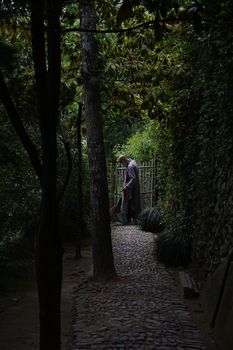 一位穿着传统服饰的人走在中国浙江的宁静森林小径上。