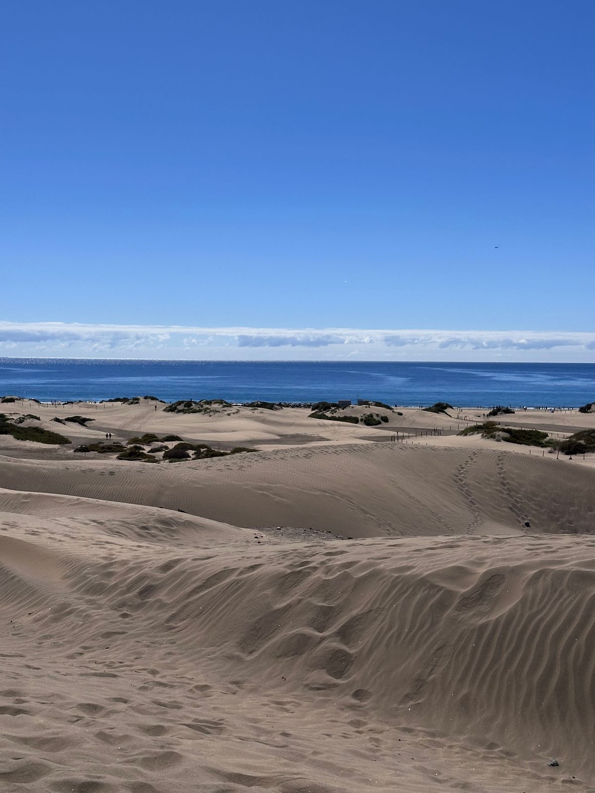 Wydmy Maspalomas na Gran Canarii spotykające się z oceanem pod czystym niebem