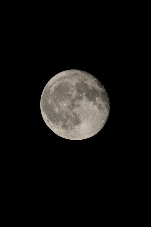 Free A detailed photograph of the full moon against a dark night sky. Stock Photo