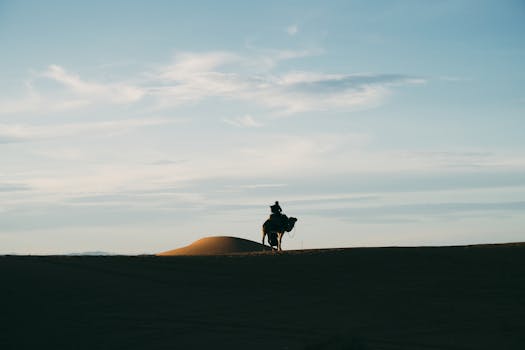 Silhouette of a camel rider at sunset in the Al Wahat Al Dakhla Desert, Egypt.