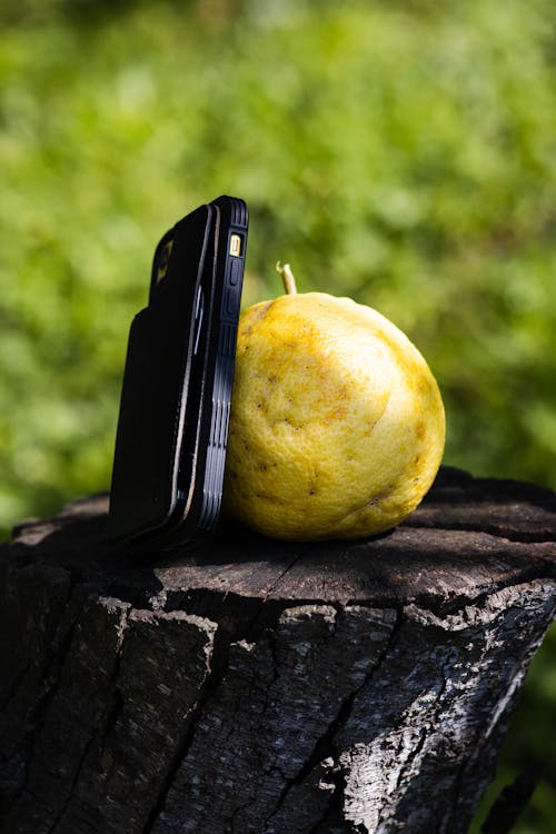Free stock photo of fruit, grapefruit, phone