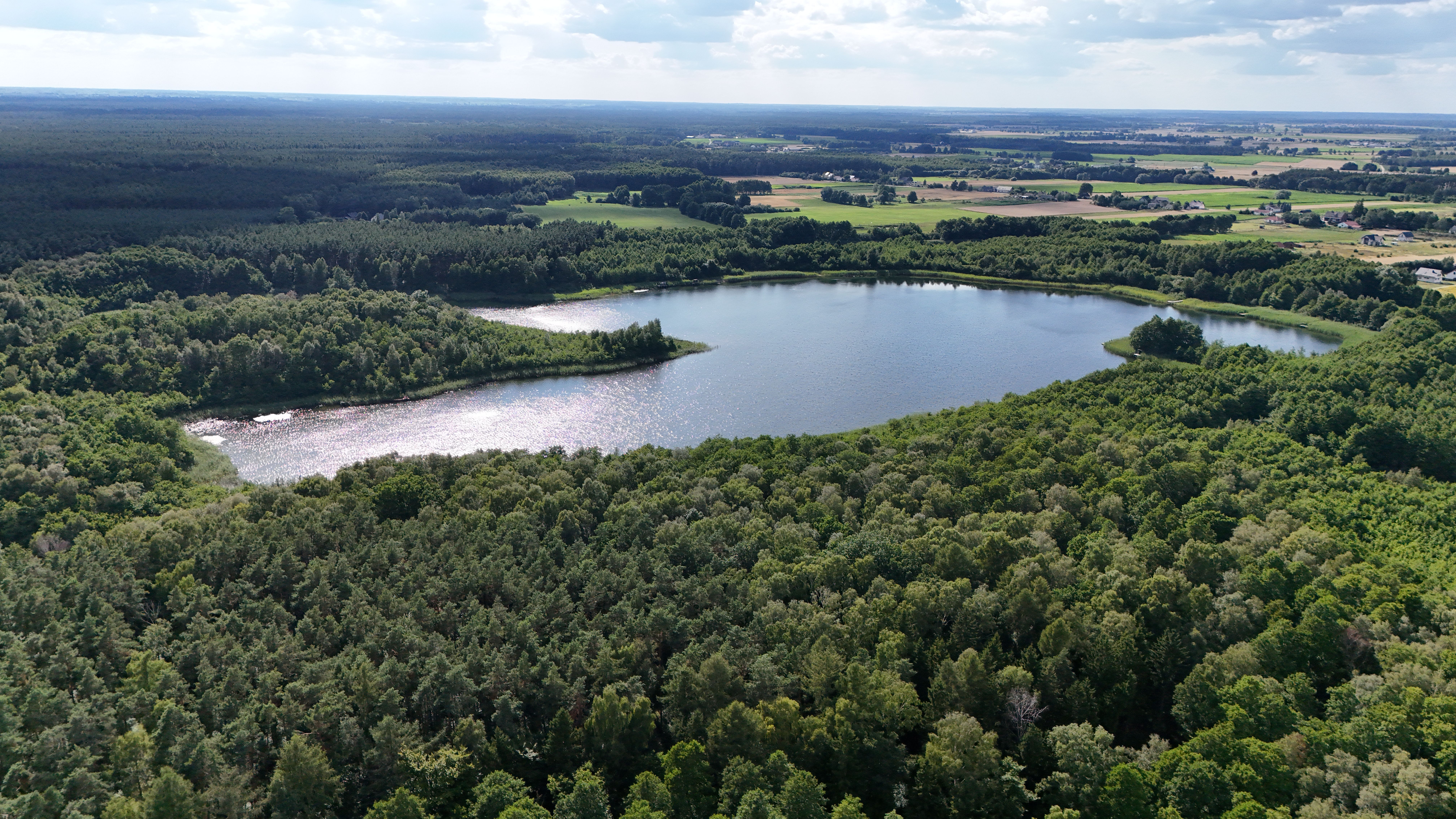 Aerial View of Lush Forest and Serene Lake in Summer