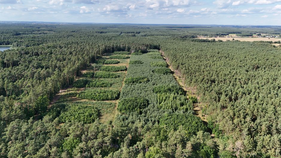 Tim Sweeney Conservation Land