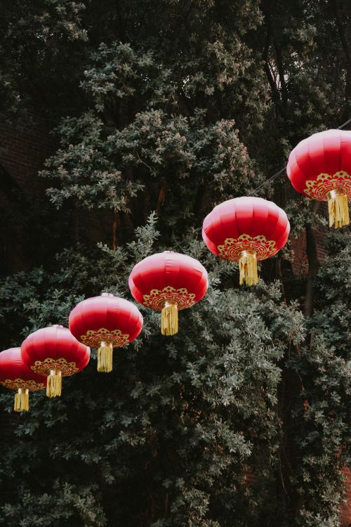 Free Row of red Chinese lanterns hanging amidst lush greenery, evoking a festive atmosphere. Stock Photo
