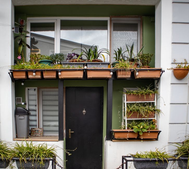 How a Lagos Balcony Became a Thriving Urban Garden