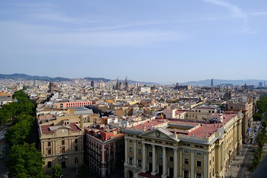 barcelona rambla dog