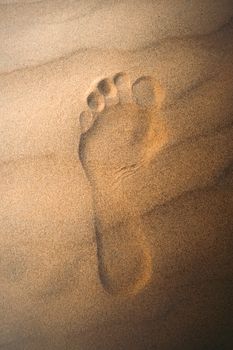 Close-up of a human foot imprint on smooth beach sand in India, evoking calm and exploration.