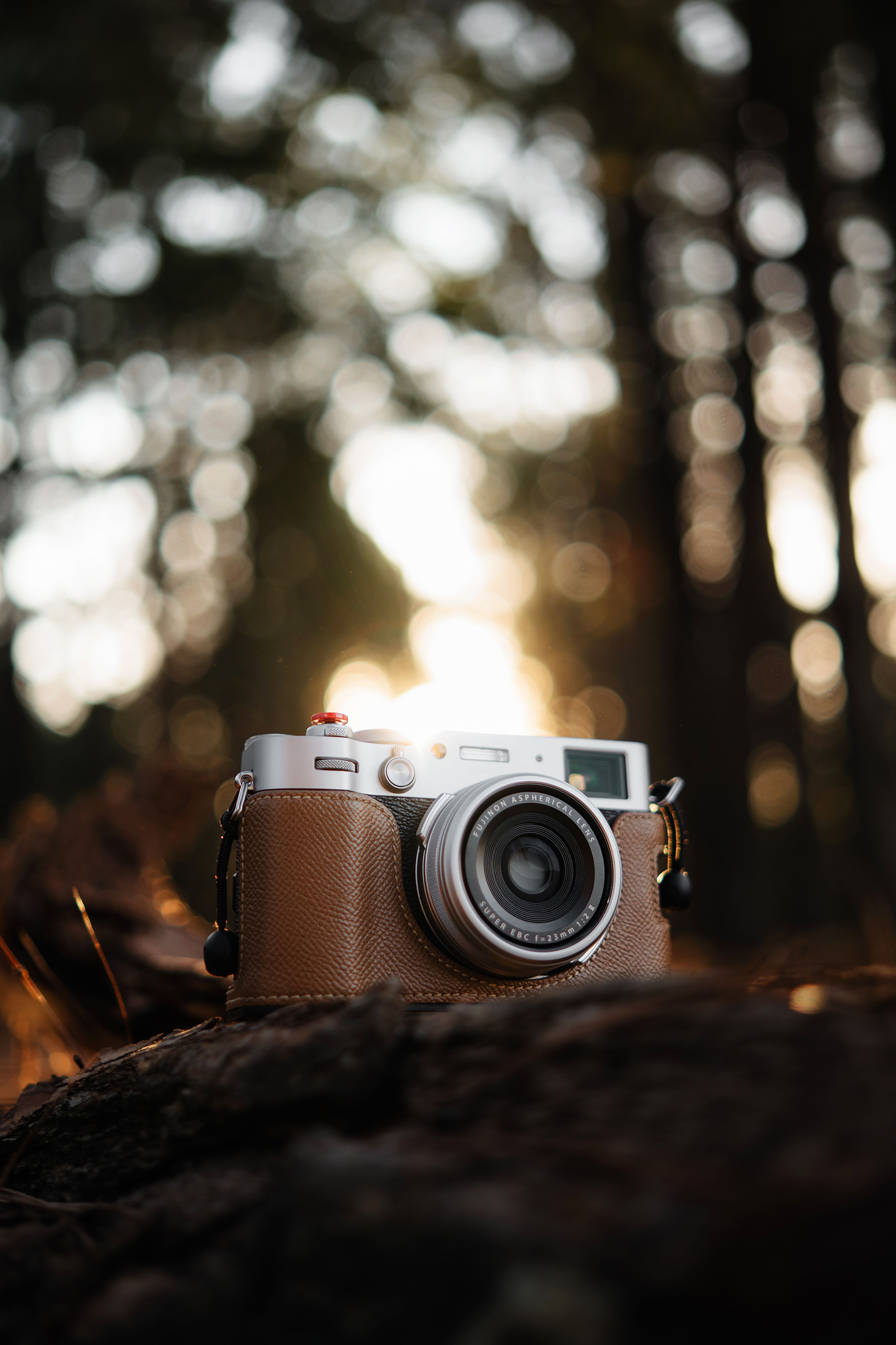 A classic vintage camera beautifully captured in a natural forest setting during sunset.