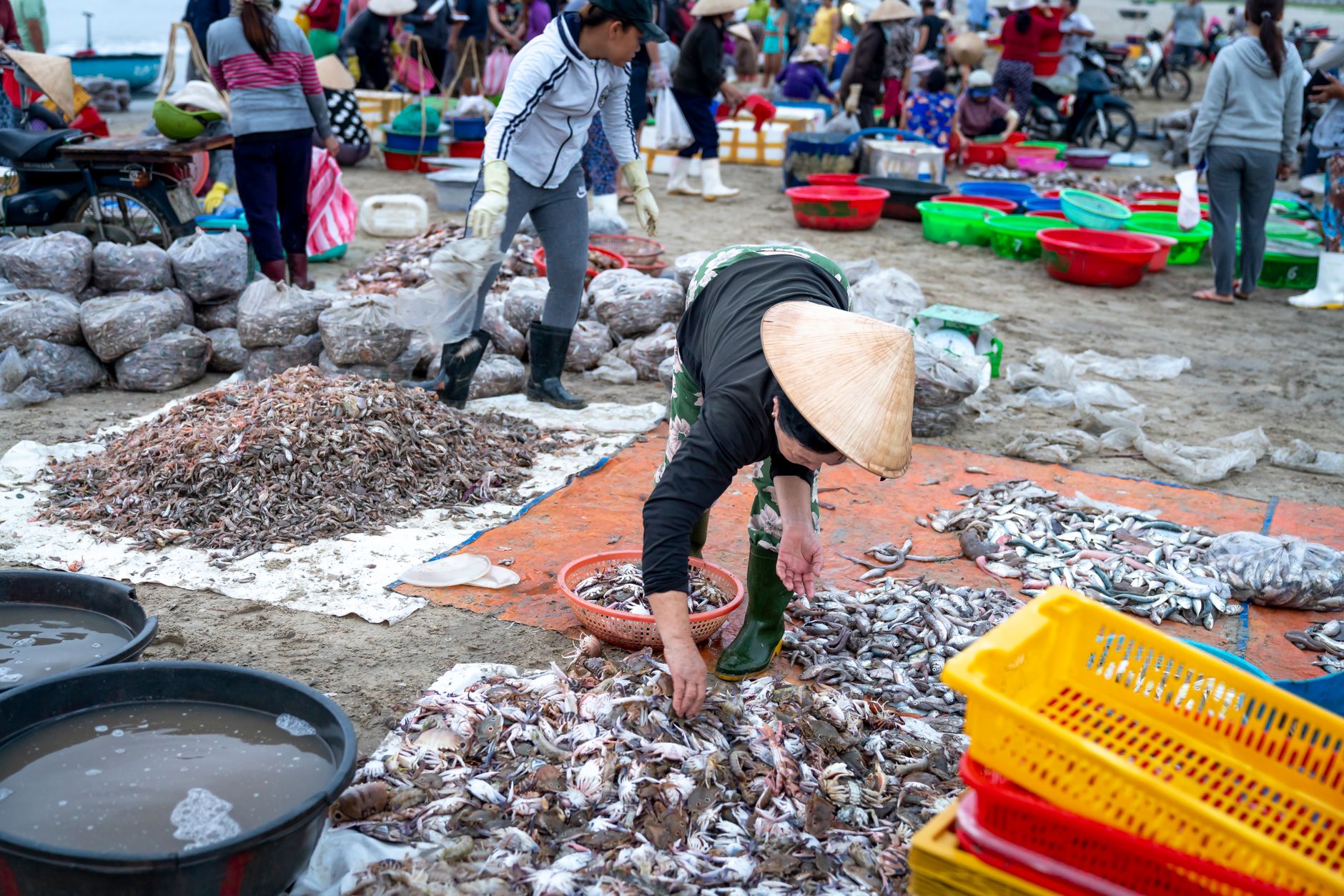Vibrant fish market scene with vendors sorting seafood in an outdoor setting.