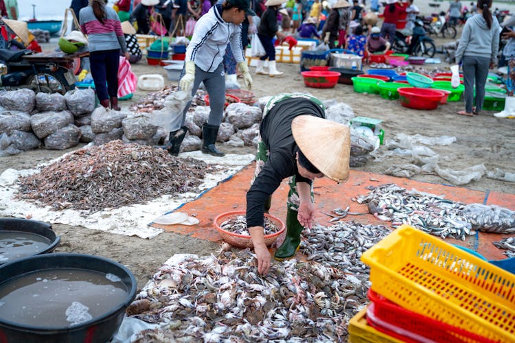 Photo Of Woman Picking Up Crabs