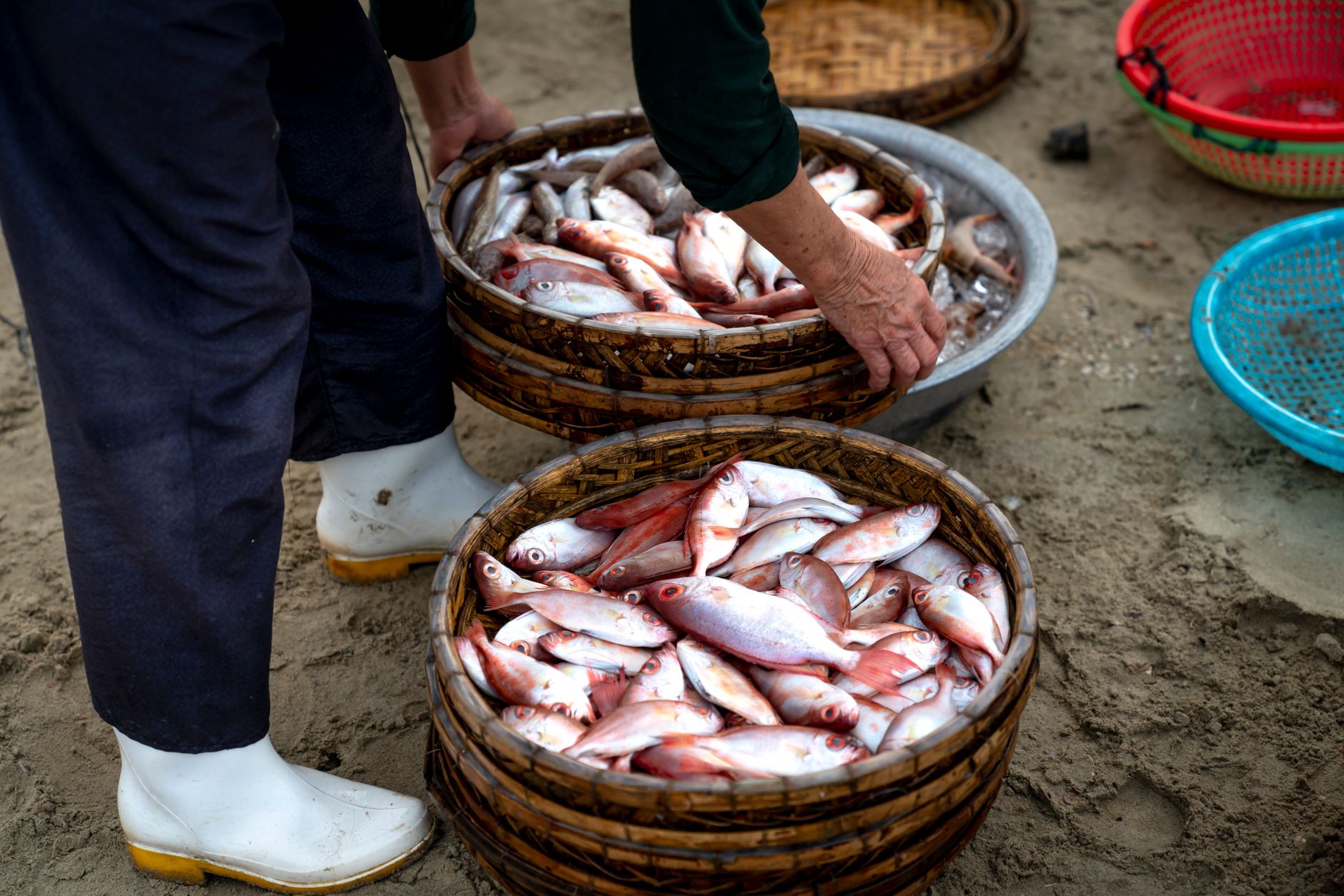 Une personne organisant du poisson frais dans des paniers en osier sur un marché en plein air, mettant en valeur la fraîcheur et les méthodes de vente traditionnelles