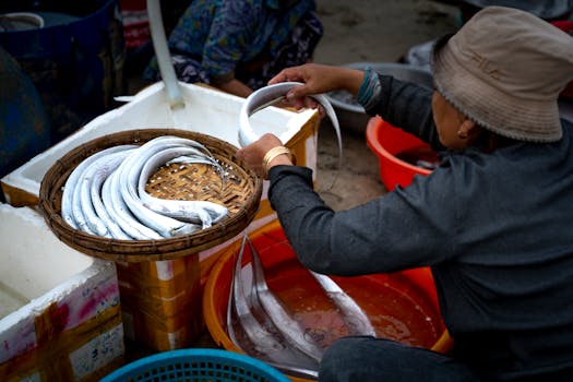 一名女子在展示当地贸易和文化的露天市场巧妙地排列着鱼