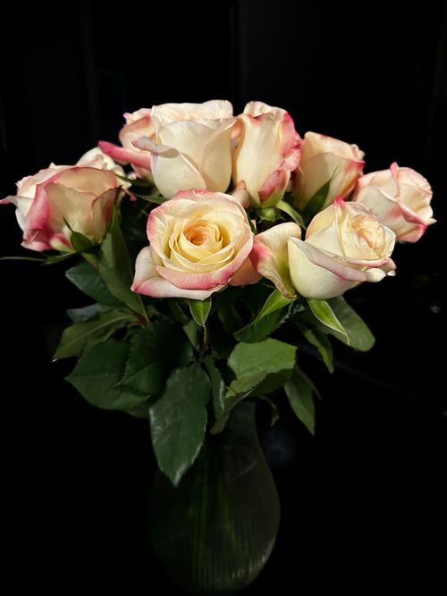 Free Beautiful bouquet of pink-edged roses in a glass vase, perfect for romantic occasions. Stock Photo