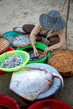From above full body faceless person wearing casual outfit and hat cleaning shrimps in basins while working in Asian street seafood market