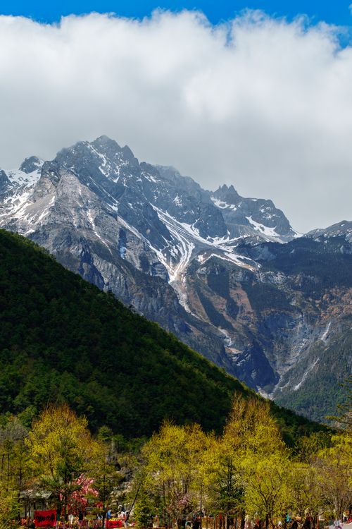 Free Majestic snow-covered mountain under blue sky with spring foliage. Stock Photo