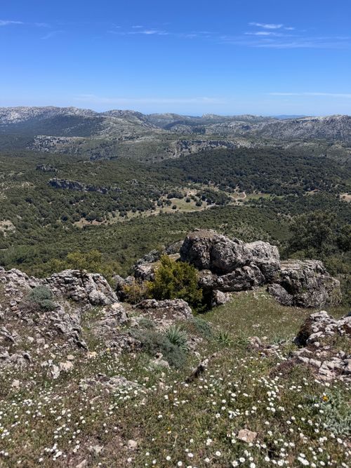 Free Captivating view of rugged mountains and lush greenery in Sardinia, Italy. Stock Photo