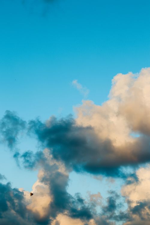 Free A vibrant sky in Samsun, Türkiye, featuring dramatic clouds and a distant airplane. Stock Photo