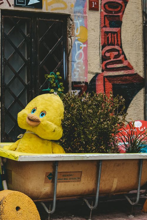 Free Yellow plush duck in bathtub amidst urban graffiti art. Stock Photo
