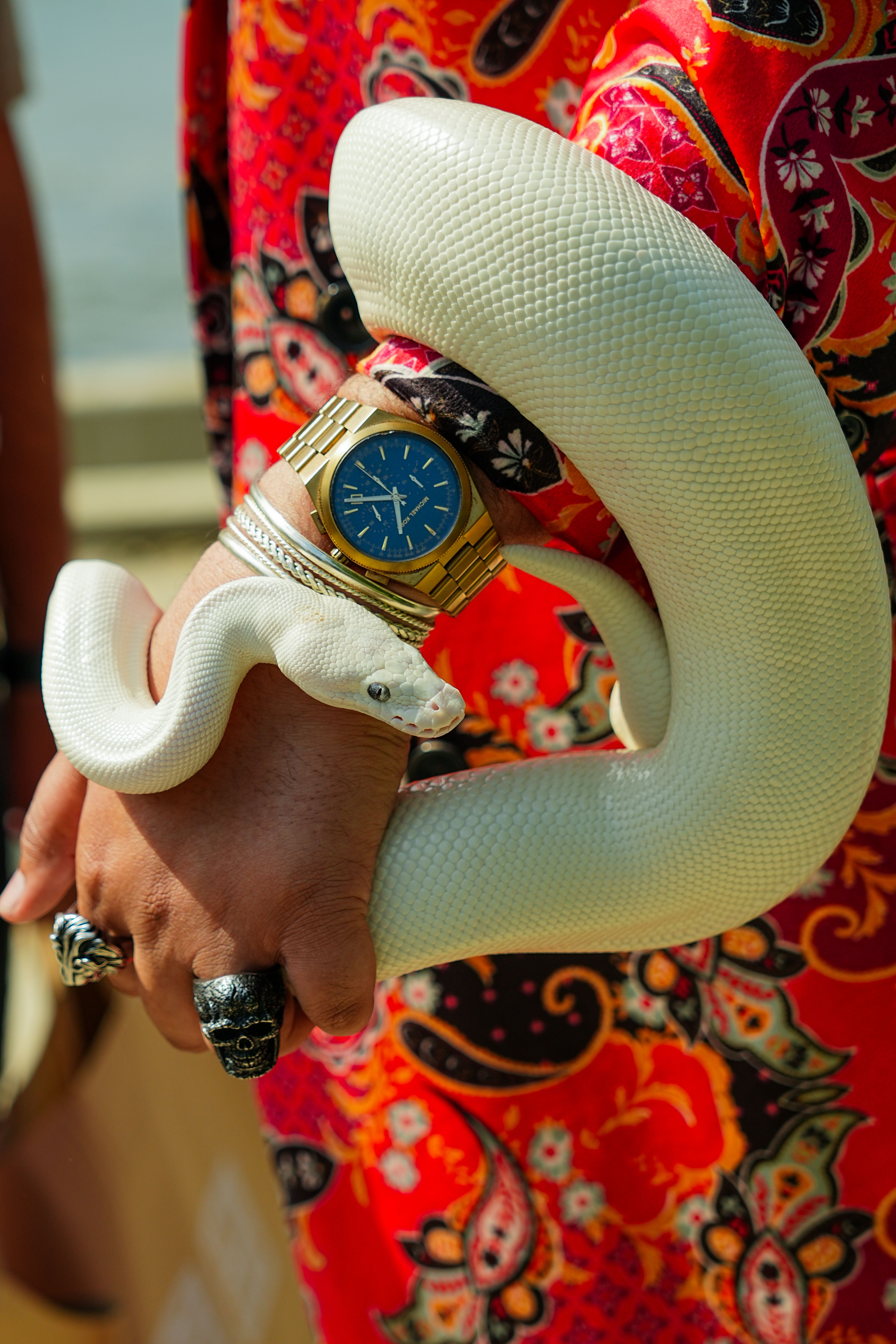 White snake wrapped around a hand with a gold watch, contrasting against a vibrant patterned fabric.