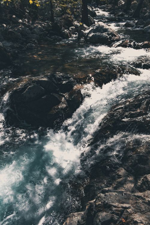 Free A tranquil forest stream cascading over rocks, capturing nature's beauty in a serene woodland setting. Stock Photo
