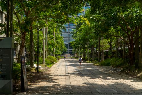Free A peaceful urban pathway shaded by lush greenery, leading to modern architecture in Taiwan. Stock Photo