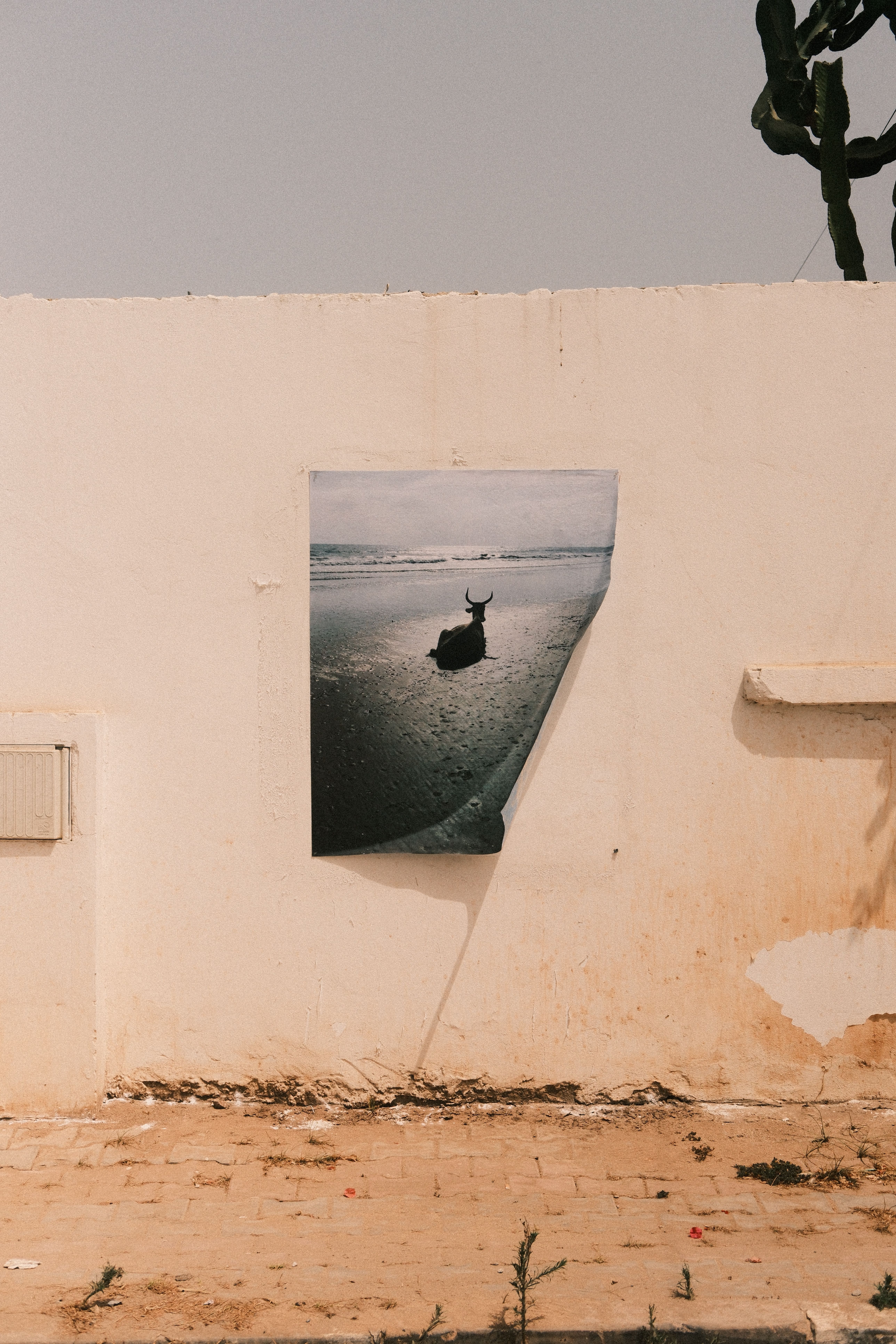 A serene, beach-themed poster on a sunny wall in Morocco.