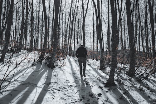 A Person Walking on the Field