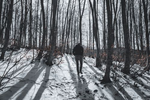 Free Man walking alone on a snowy path through a forest in Abruzzo, Italy during winter. Stock Photo