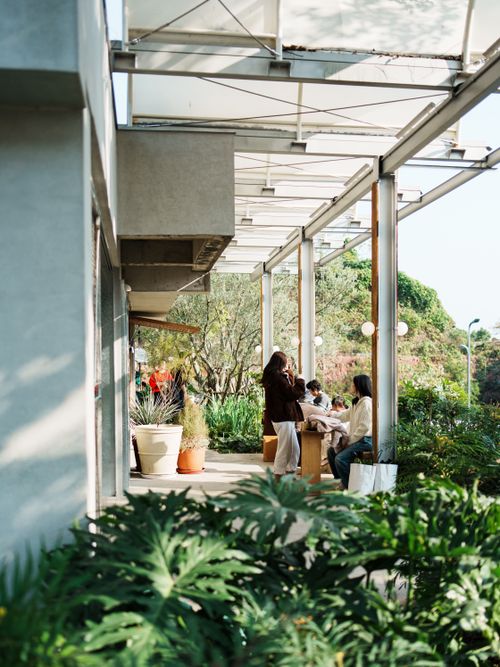 Free A group of people enjoying a sunny afternoon on a modern outdoor terrace. Stock Photo