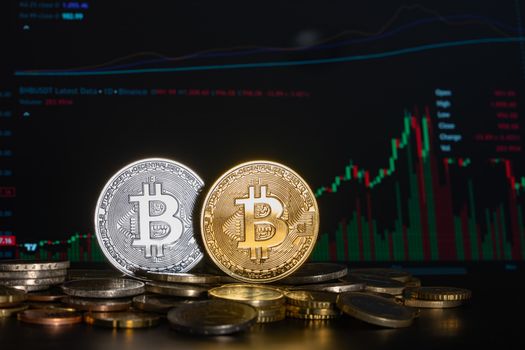 Golden and silver Bitcoin coins against a financial graph display, highlighting cryptocurrency investment trends.