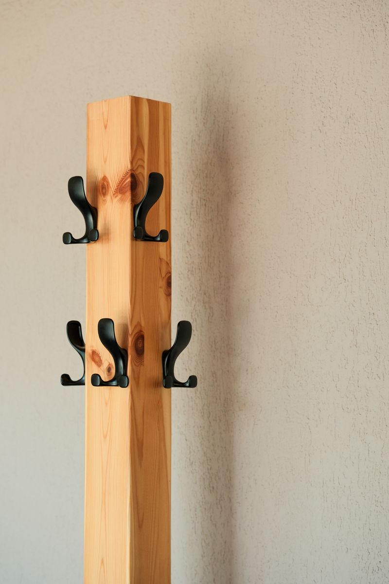 Wall-mounted wooden coat rack with sleek black hooks on a textured wall