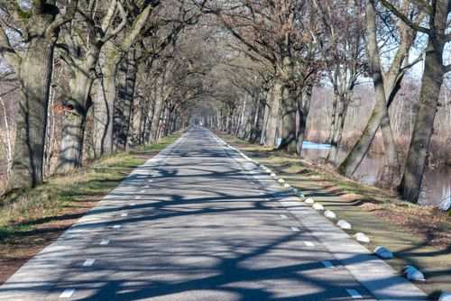 Free Scenic view of a tree-lined road in Helenaveen, Noord-Brabant, Nederland with shadows and clear sky. Stock Photo