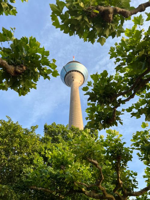 Free View of the iconic Rheinturm tower in Düsseldorf framed by lush green trees against a clear blue sky. Stock Photo