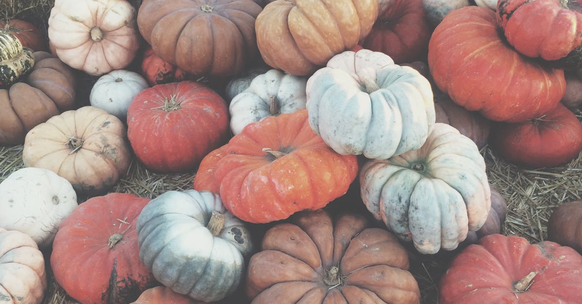 Free stock photo of fresno, halloween, pumpkin