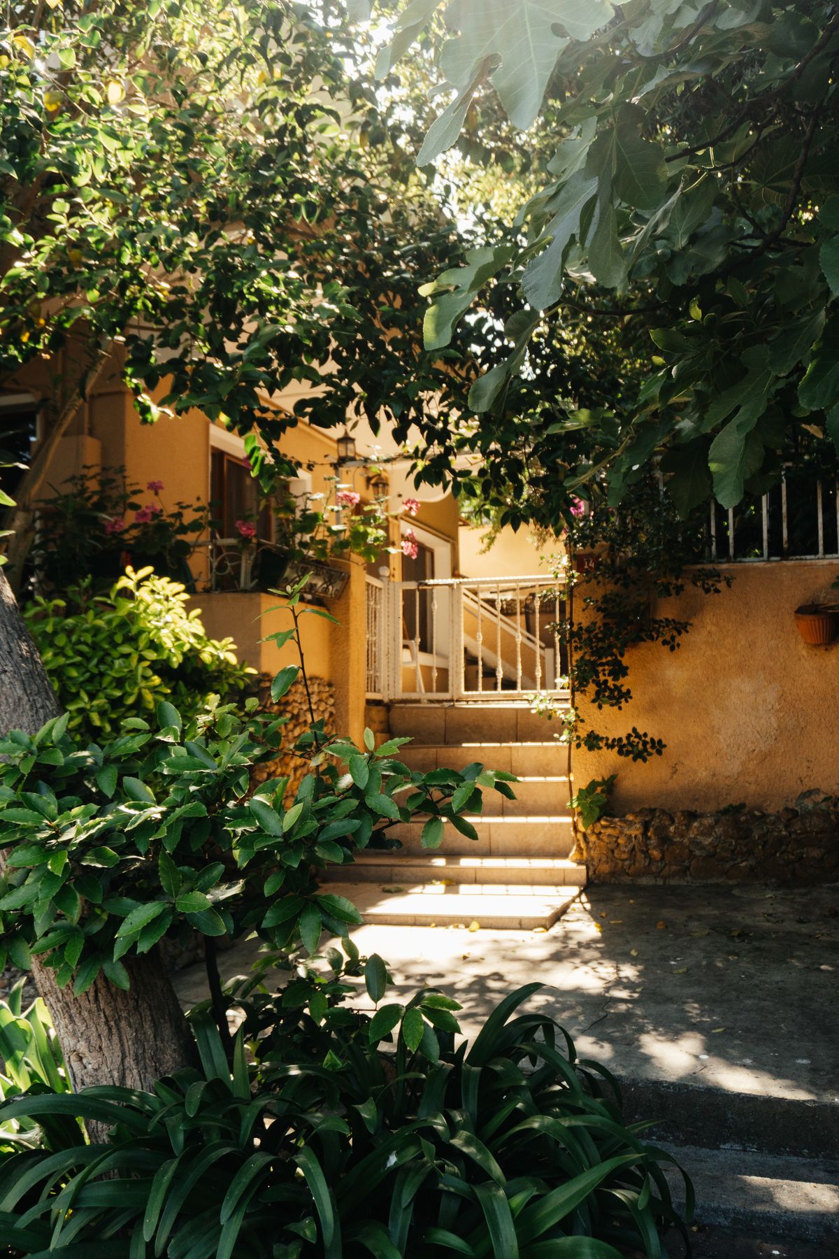 Sunlit courtyard entrance surrounded by greenery