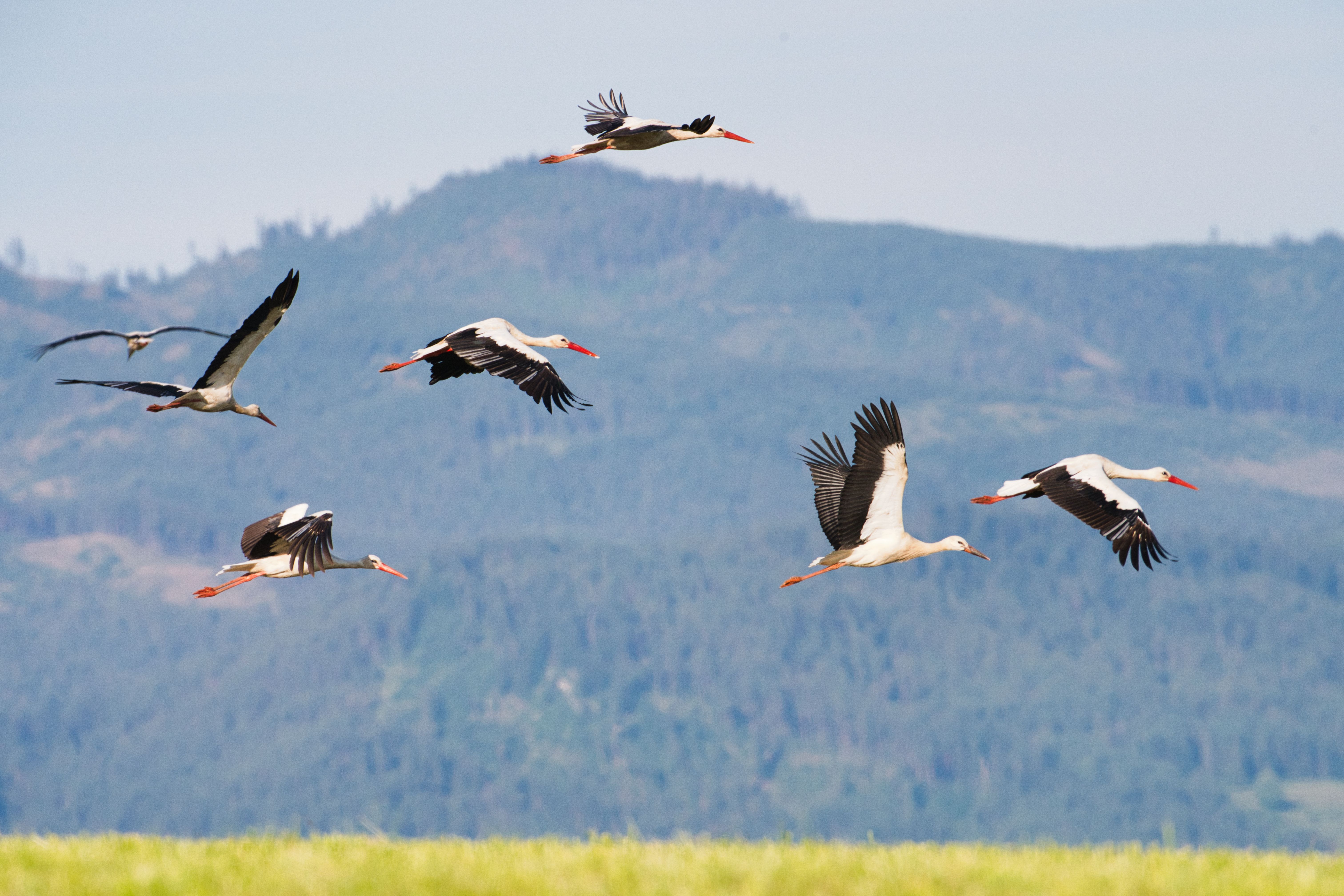 Photo of Slovakia