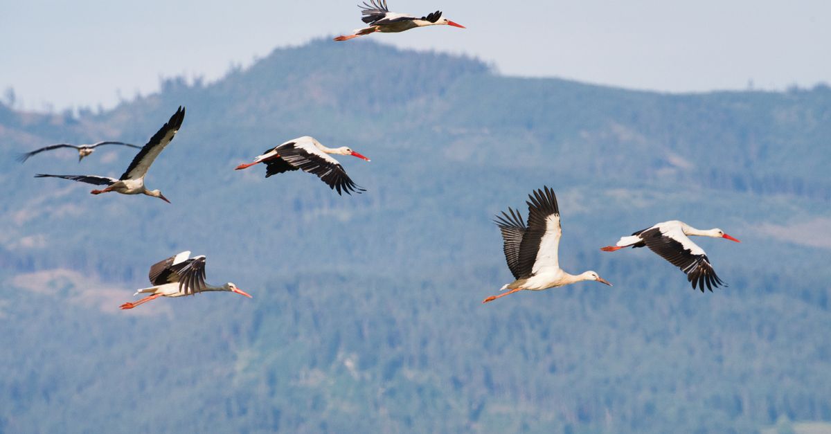 Photo of Slovakia
